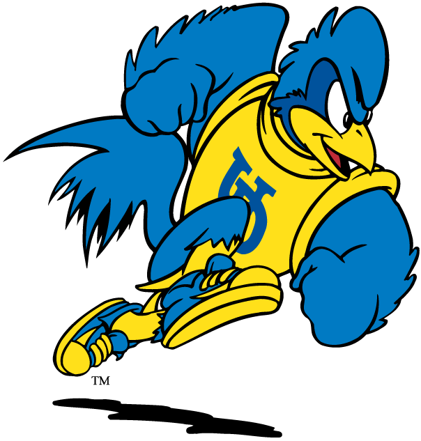 delaware blue hens 1993-pres mascot logo v2 diy fabric transfer